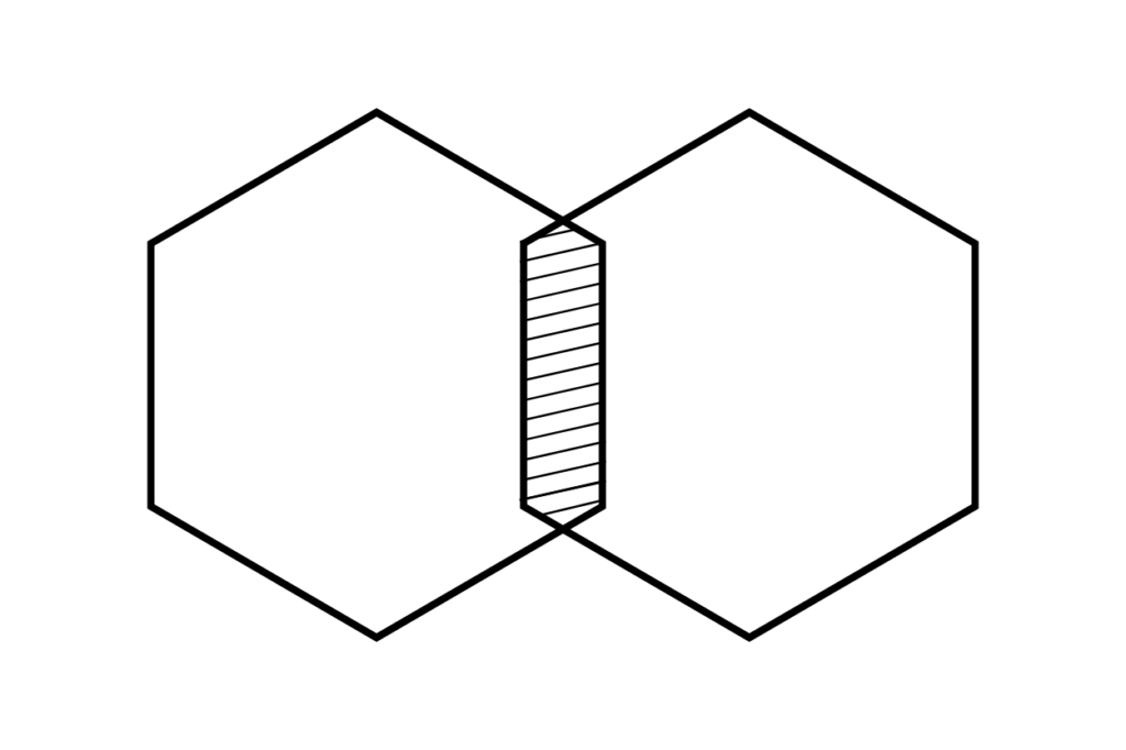 MG Venn Diagramm Biohacking Minimalismus