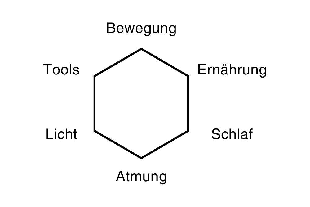 Die 3 Biohacking-Säulen für gesunde und produktive Mitarbeiter Grafik